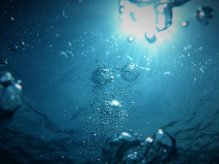 Underwater view