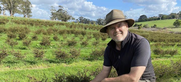 Man crouched down in a field holding boronia