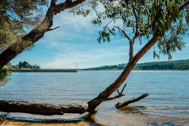 Lake Narracan is a popular destination for water sports.