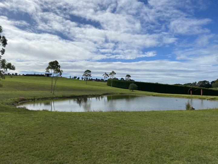 Small dam surrounded by green grass 