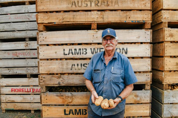 Smiling man with a moustache holding potatoes in front of crates of potatoes