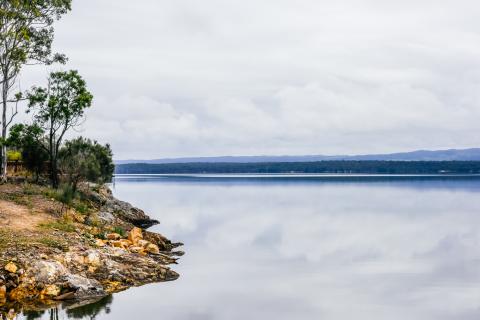 Shore of a lake